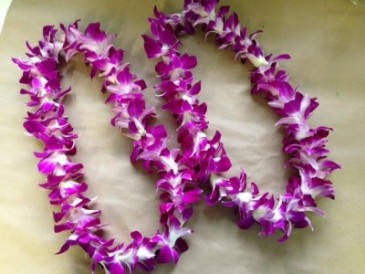 Hawaiian Lei