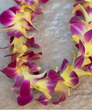 Hawaiian Orchid Lei Graduation 