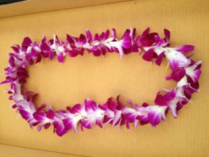 Hawaiian Bombay Orchid Lei Graduation Lei in Santa Barbara, CA | Lily's Flowers And Fruity Florets Hawaiian Bombay Orchid Lei Graduation Lei in Santa Barbara, CA | Lily's Flowers And Fruity Florets