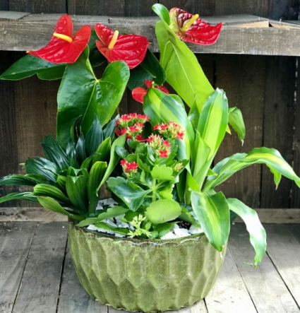 HAWAIIAN PARADISE