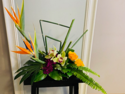 Hawaiian splash Modern tropical