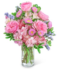 Category Image