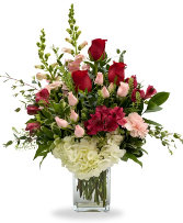 Head Over Heels Affection Collection