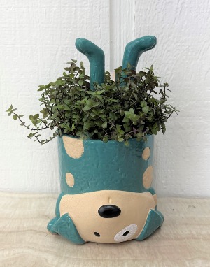 Headstand Planter 