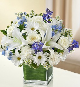 Healing Tears - Blue and White Everyday