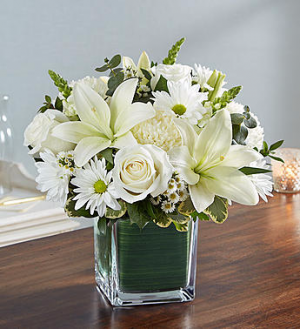 Healing Tears™ All White in Valley City, OH | HILL HAVEN FLORIST & GREENHOUSE Healing Tears™ All White in Valley City, OH | HILL HAVEN FLORIST & GREENHOUSE
