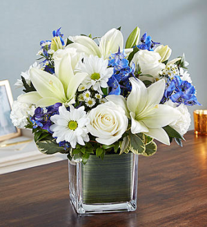 Healing Tears™ Blue & White in Valley City, OH | HILL HAVEN FLORIST & GREENHOUSE Healing Tears™ Blue & White in Valley City, OH | HILL HAVEN FLORIST & GREENHOUSE