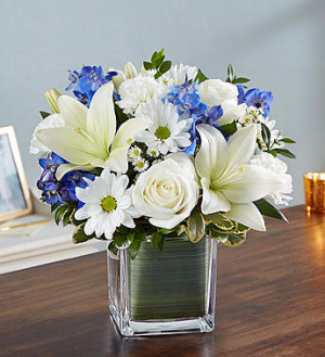 Healing Tears™ Blue & White clear glass cube vase