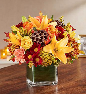 Healing Tears™ Fall in Valley City, OH | HILL HAVEN FLORIST & GREENHOUSE Healing Tears™ Fall in Valley City, OH | HILL HAVEN FLORIST & GREENHOUSE