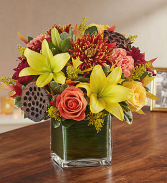 Healing Tears™ Fall Arrangement
