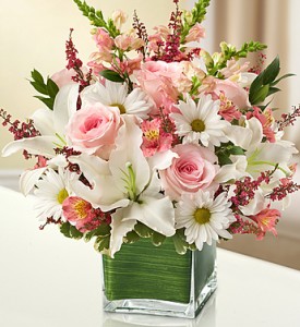 Healing Tears - Pink and White everyday