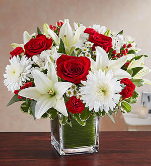Healing Tears™ Red & White in Valley City, OH | HILL HAVEN FLORIST & GREENHOUSE Healing Tears™ Red & White in Valley City, OH | HILL HAVEN FLORIST & GREENHOUSE