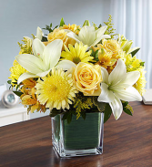 Healing Tears™ Yellow & White