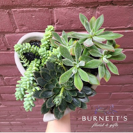 Heart Cement Planter