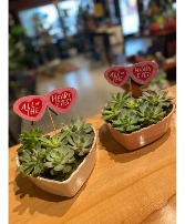 Heart Eyes Succulent Planter