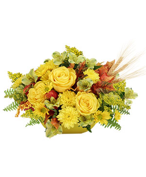 HEART OF GOLD Arrangement