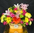 Heart of the Garden (VASE COLOR MAY VARY) 