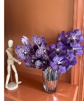 Heart Shape Dutch Vanda Orchids  Assorted Color Available for Vanda Orchids 