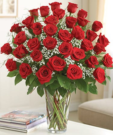 Heart Throb 36 Roses