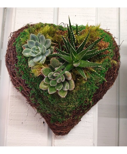 Heart to Heart Succulents 