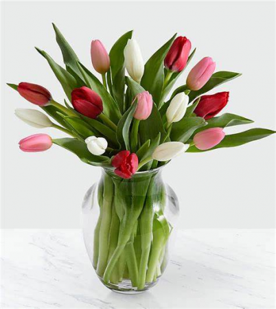 Heart Tulips Fresh Flowers
