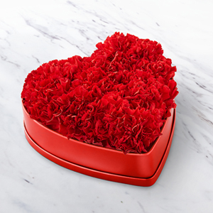 Heartfelt Carnation Box  Flowers