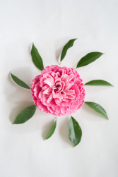 Heartfelt Splendor Soap Flower