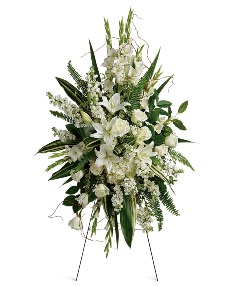 Category Image