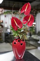 Hearts a Float Anthurium Flowers 