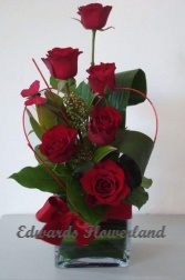 Category Image