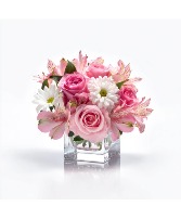 Hearts & Hope Arrangement
