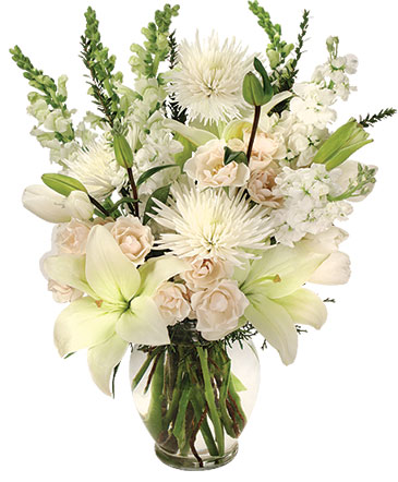 Heavenly Aura Flower Arrangement in Fitchburg, MA | CAULEY'S FLORIST & GARDEN CENTER