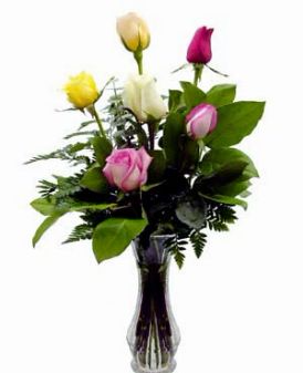 Heavenly Half Dozen MIXED Valentine's Day