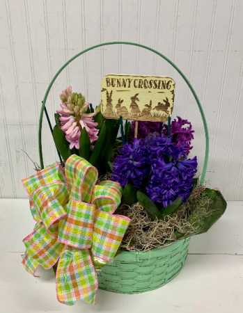 Heavenly Hyacinths