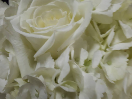 White Hydrangea And White Rose Bridal Bouquet Wedding Bouquet