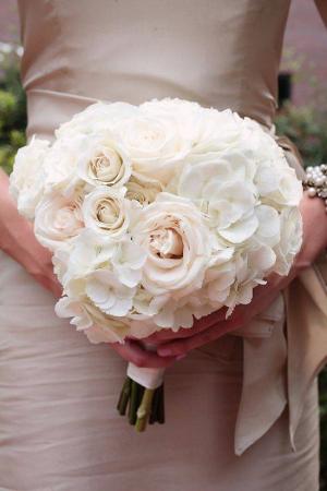 Heavenly Hydrangea Package Wedding Flowers in Edmonton, AB | PETALS ON THE TRAIL Heavenly Hydrangea Package Wedding Flowers in Edmonton, AB | PETALS ON THE TRAIL