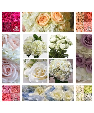 heavenly Hydrangea Wedding Flower Package Wedding Flowers