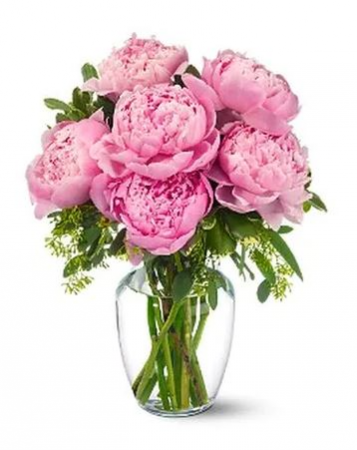 Heavenly Pink Peonies SPECIAL OF THE WEEK