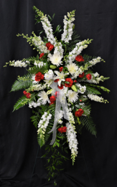 Category Image