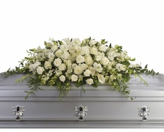 Category Image