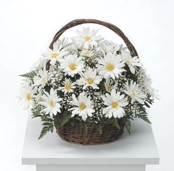 HEAVENS GARDEN SYMPATHY