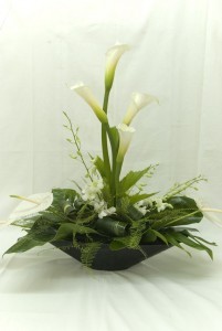 Category Image