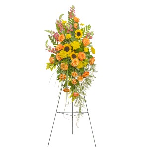 HEAVENS SUNSET EASEL