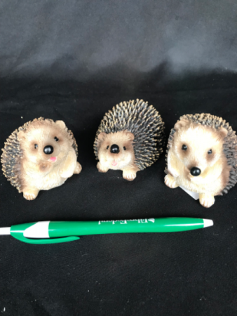 Hedgehogs Hedgehogs