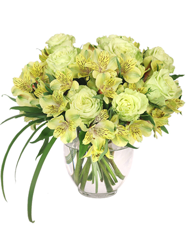 HEIRLOOM classy arrangement