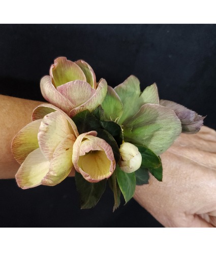 Helleborus flower  Corsage