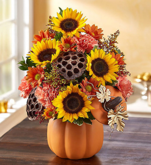 Happy Thanksgiving 2020 in Sunrise, FL | FLORIST24HRS.COM Happy Thanksgiving 2020 in Sunrise, FL | FLORIST24HRS.COM
