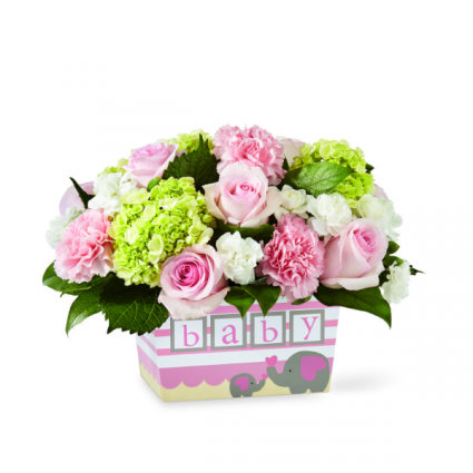 Hello Baby Girl! Baby Girl Flower Arrangement