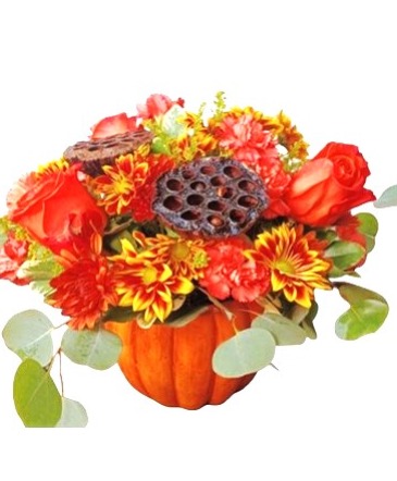 Hello Fall In Ceramic Orange Pumpkin in Gainesville, FL | PRANGE'S FLORIST