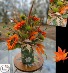 'Hello Fall' One Side Arrangement  